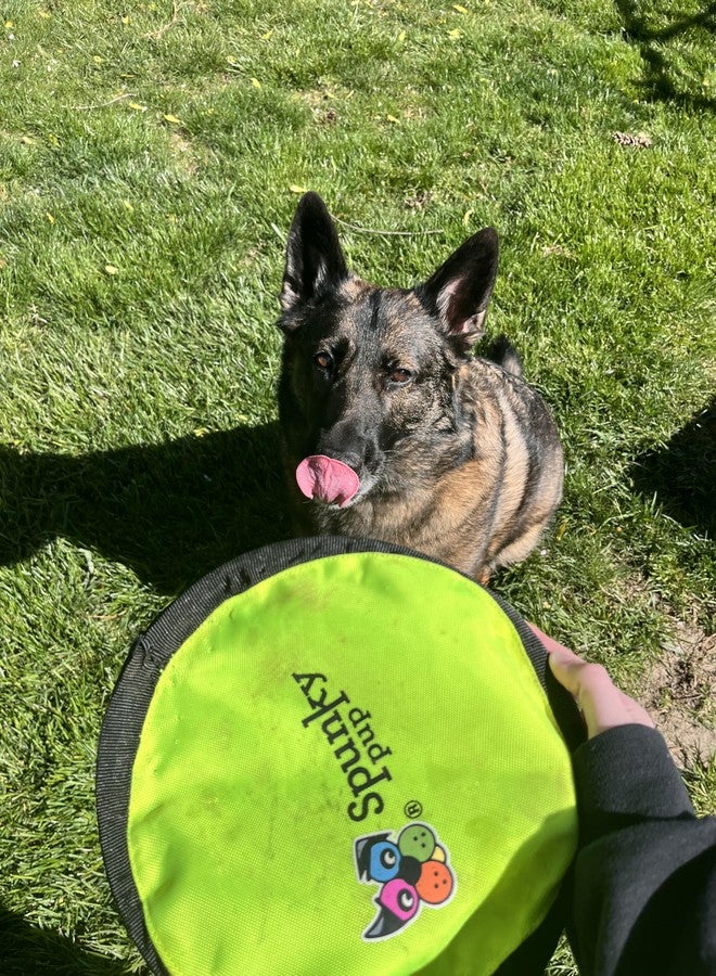 Spunky pup Spunky Soft Disc, Flying Fetch Toy - Image 2